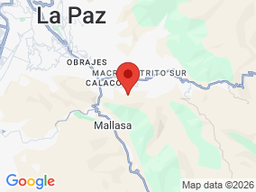 Map of Site Report: Bosquesillo Auquisamana, Bolivia